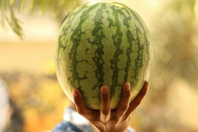 娱乐大瓜在线吃